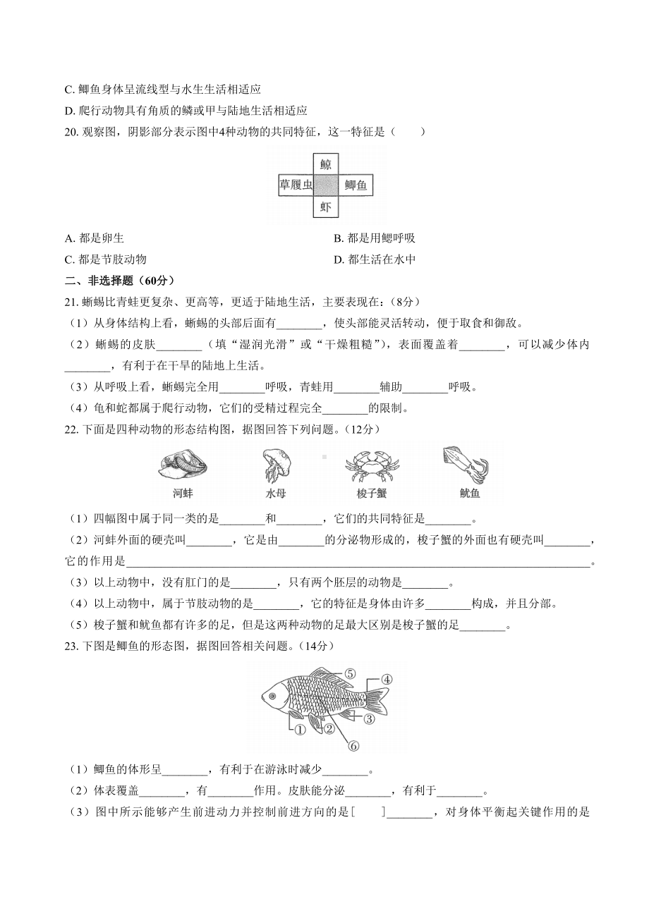 人教版生物八年级上册：第五单元第一章动物的主要类群综合测试卷(包含答案).docx_第3页