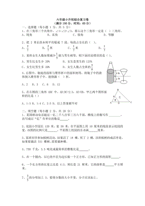 人教版2020年小升初数学复习试卷.docx