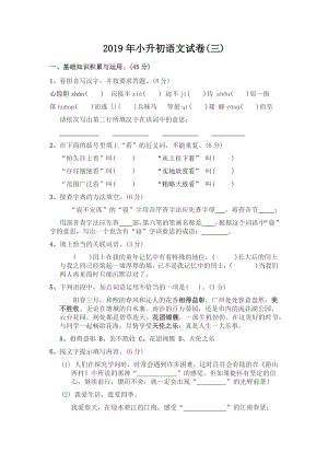 2019年小升初语文试卷(三).docx