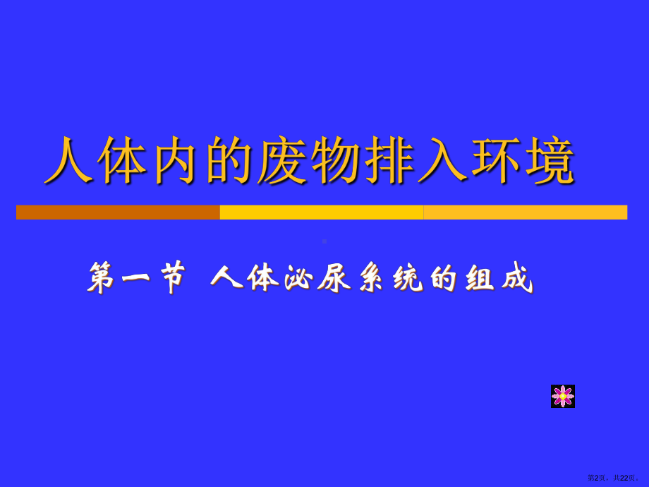 11.1人体泌尿系统的组成-课件-.pptx_第2页