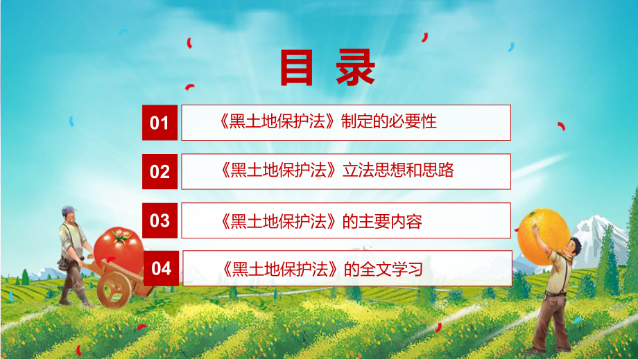 黑土地保护法全文解读中华人民共和国黑土地保护法内容宣讲PPT课件.pptx_第3页