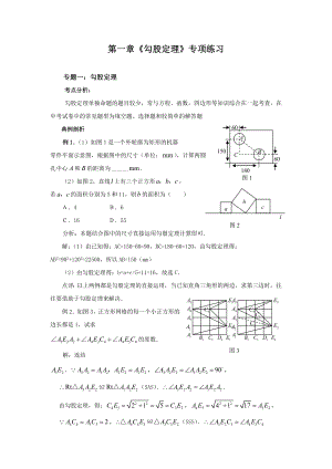 《勾股定理》专题复习(含问题详解).doc