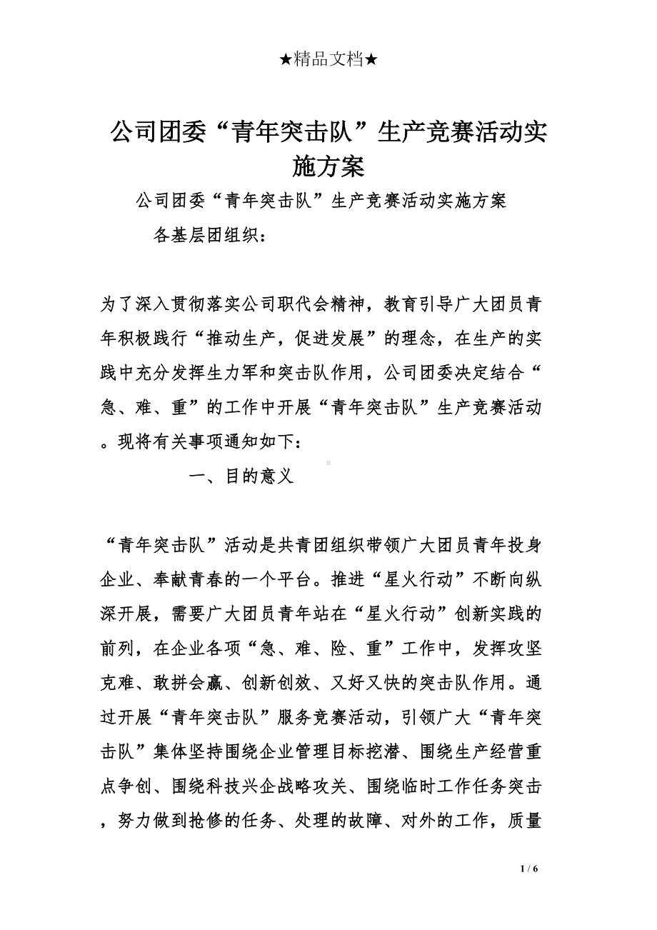 公司团委“青年突击队”生产竞赛活动实施方案(DOC 6页).doc_第1页