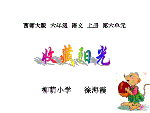 课件-《收藏阳光》.ppt