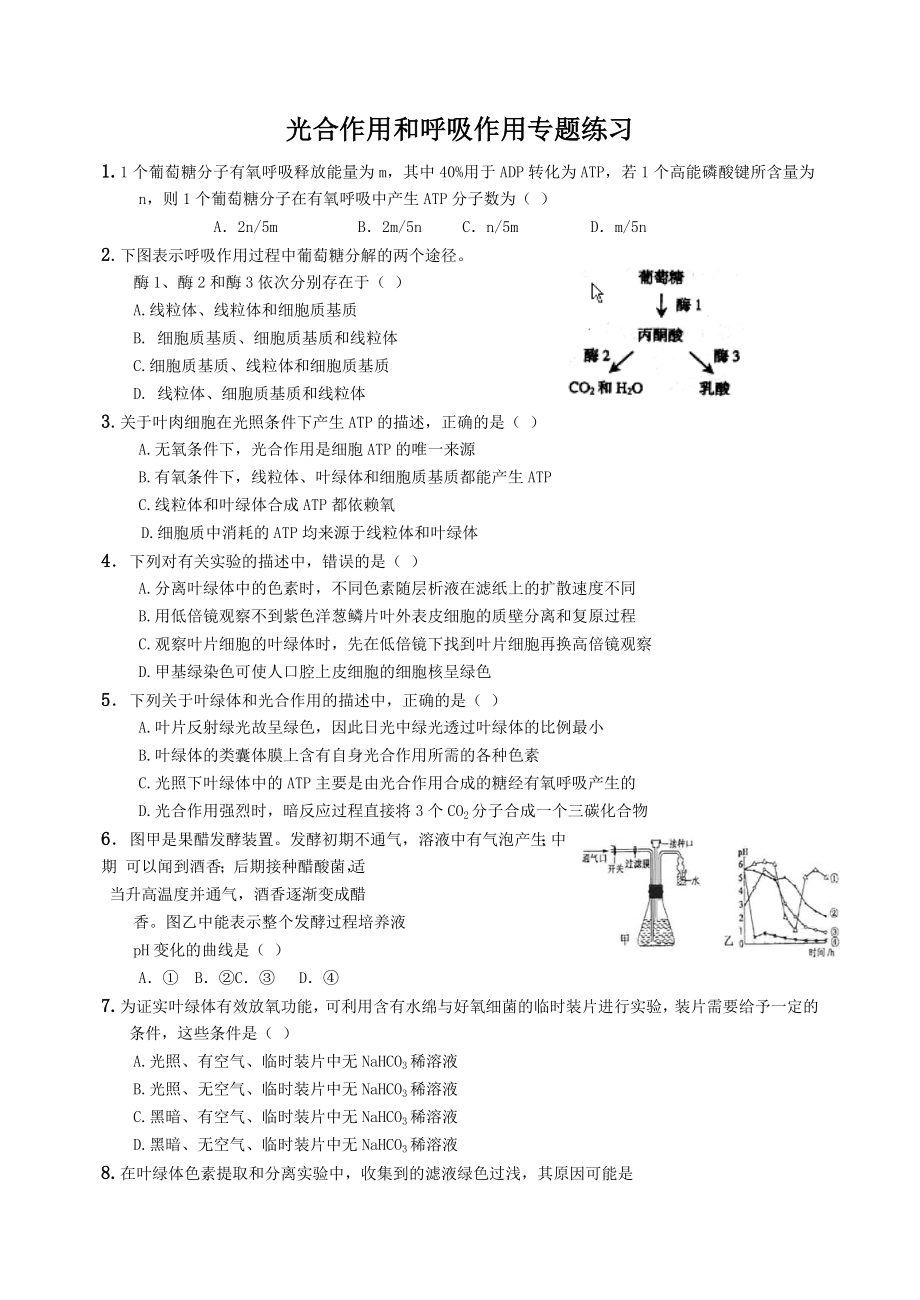 光合作用和呼吸作用专题练习题及答案.docx_第1页