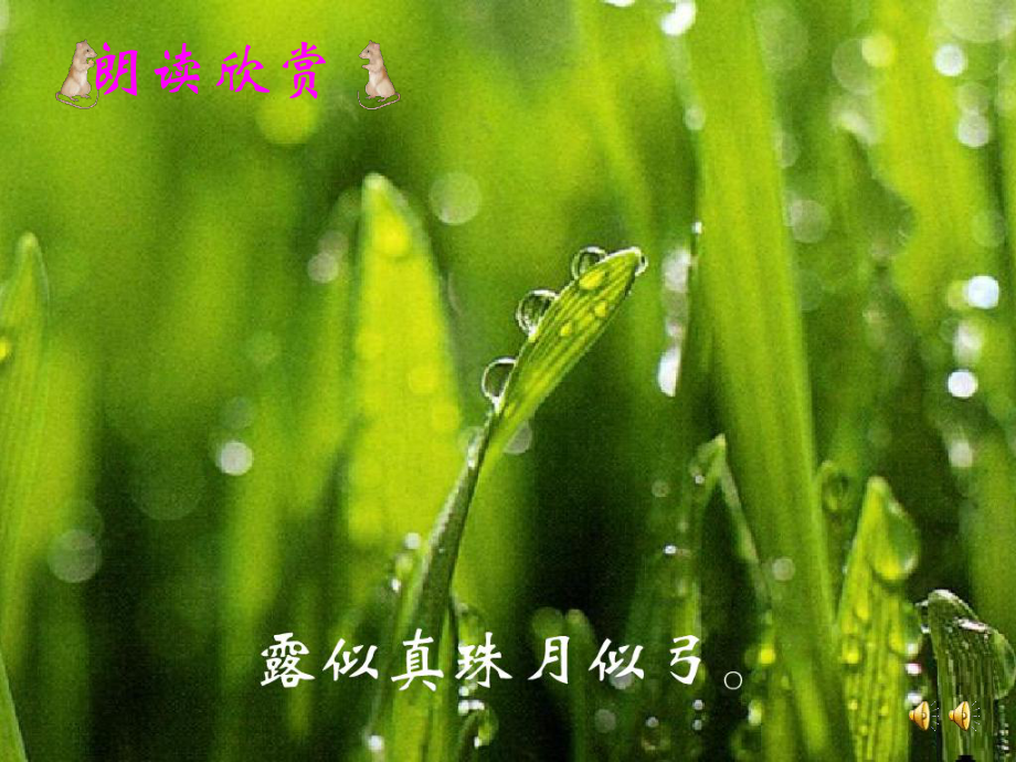 《暮江吟》-.ppt_第3页