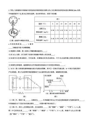 光合与呼吸经典习题(DOC).doc