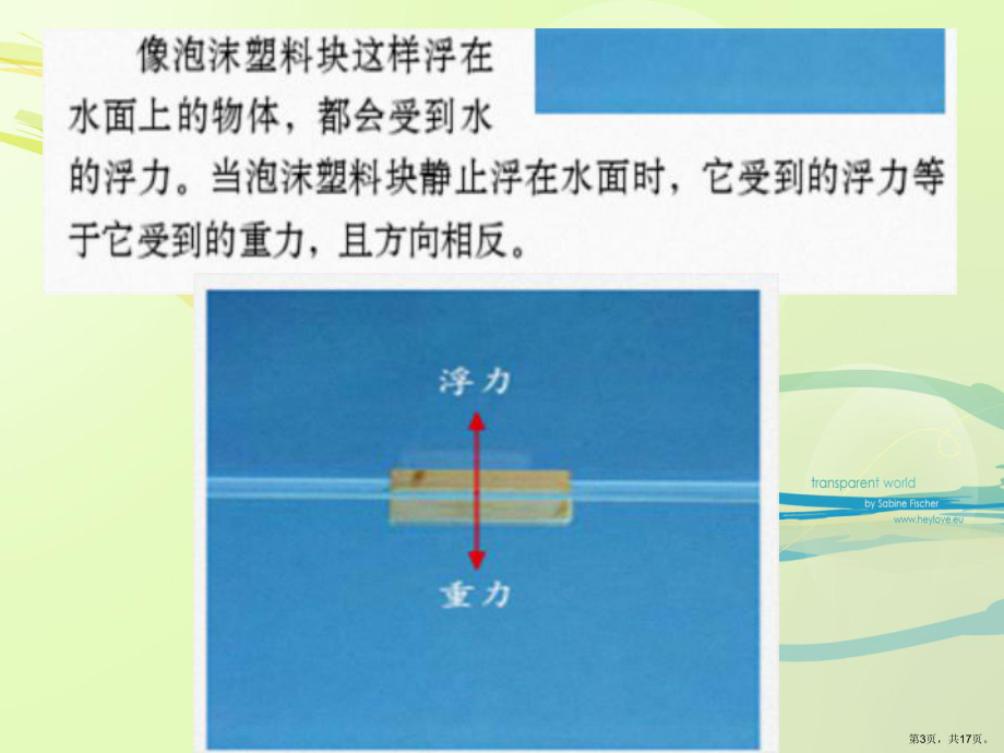 五年级科学下浮力课件.pptx_第3页