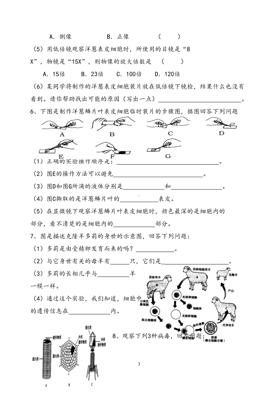 (完整版)初中生物会考识图练习复习(DOC 21页).doc_第3页