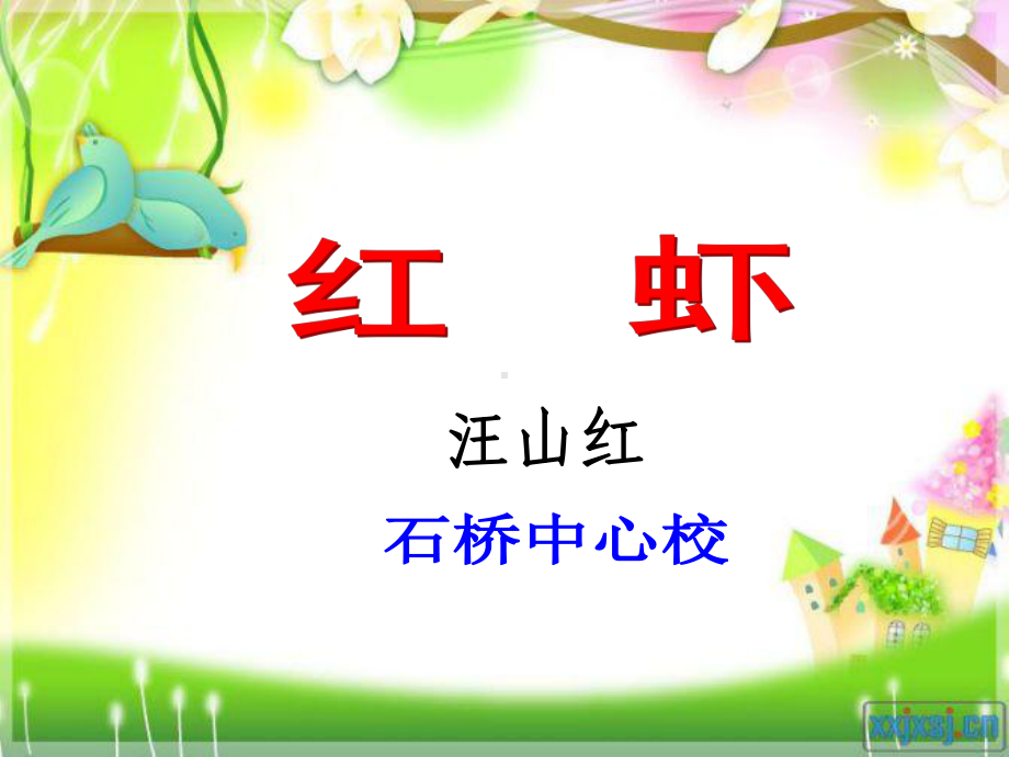 《红虾》教学课件.ppt_第1页