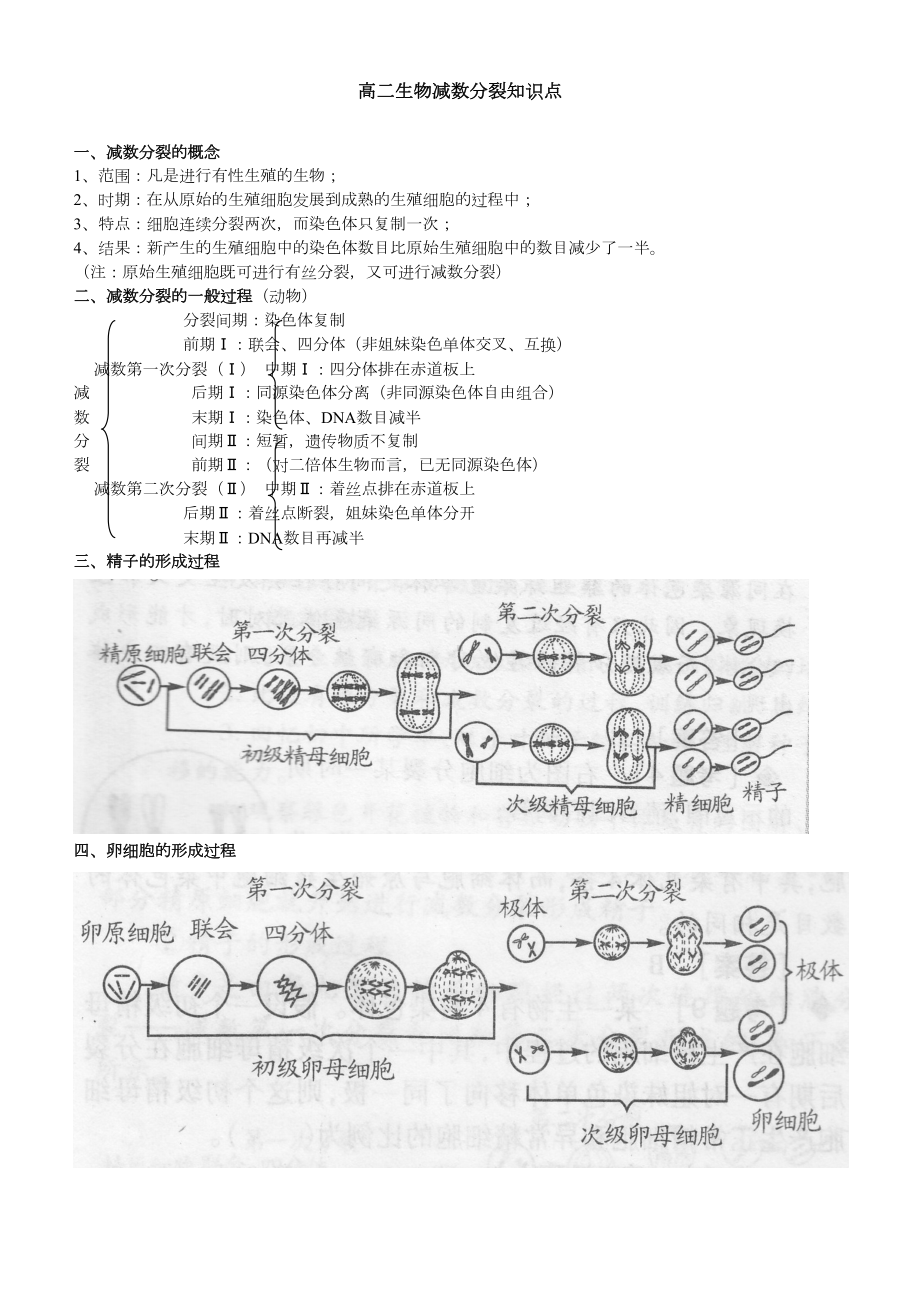 (完整版)减数分裂知识点总结(DOC 11页).doc_第1页