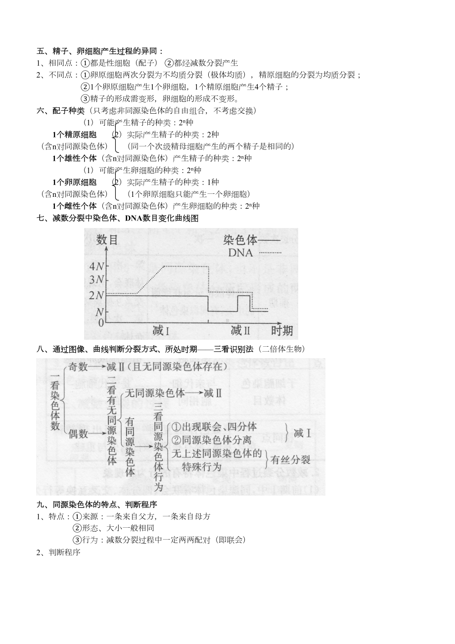 (完整版)减数分裂知识点总结(DOC 11页).doc_第2页