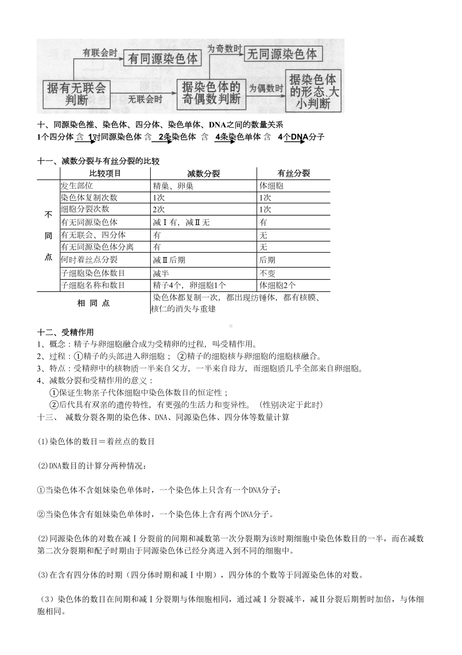 (完整版)减数分裂知识点总结(DOC 11页).doc_第3页