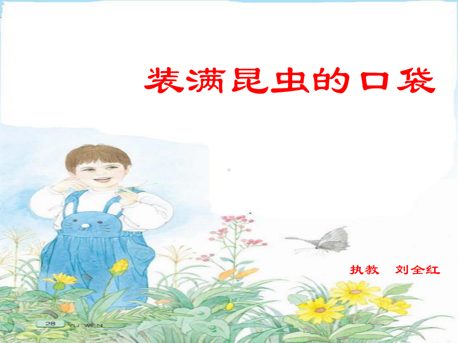 装满昆虫的口袋.ppt_第1页