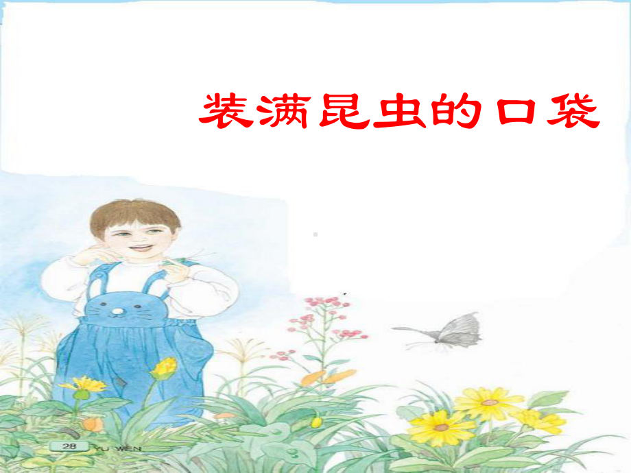 装满昆虫的口袋.ppt_第3页