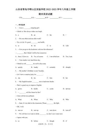 山东省青岛市崂山区实验 2022-2023学年八年级上学期期末英语试题.docx