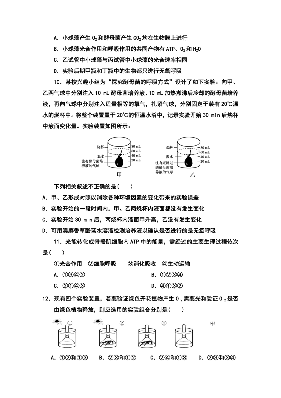 光合作用和呼吸作用测试题.docx_第3页