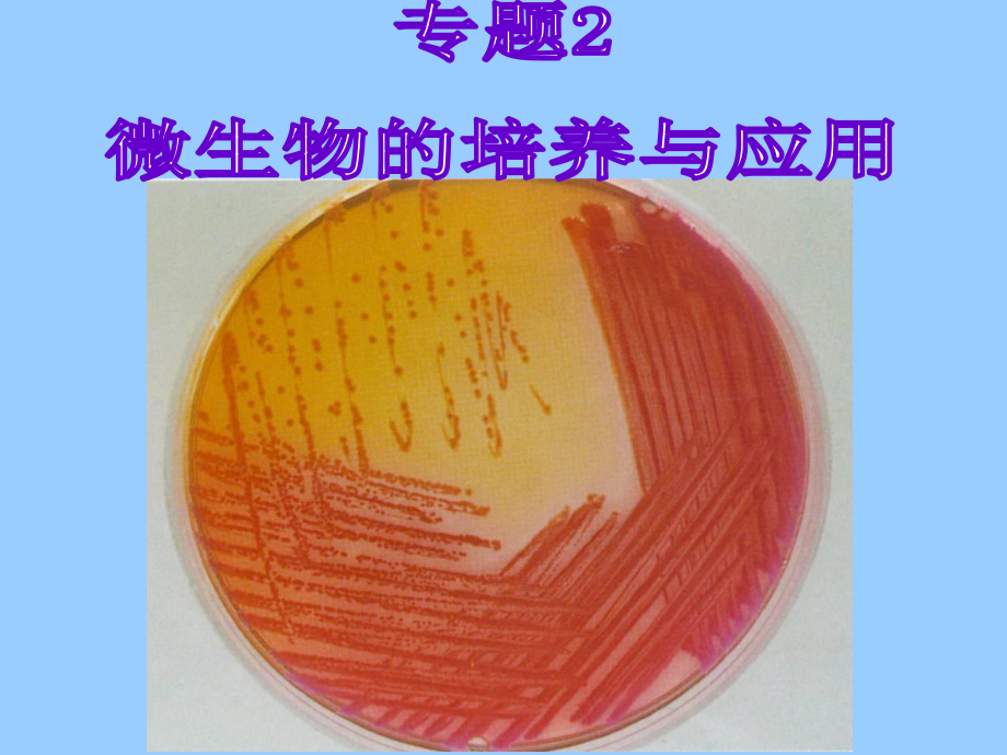 [史上最强生物课件]微生物培养与应用20101023.ppt_第1页