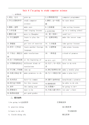 八年级英语上册Unit6I'mgoingtostudycomputerscience短语语法知识点汇总(DOC 7页).doc