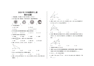 2020年最新人教版八年级数学上册期末考试试题.doc