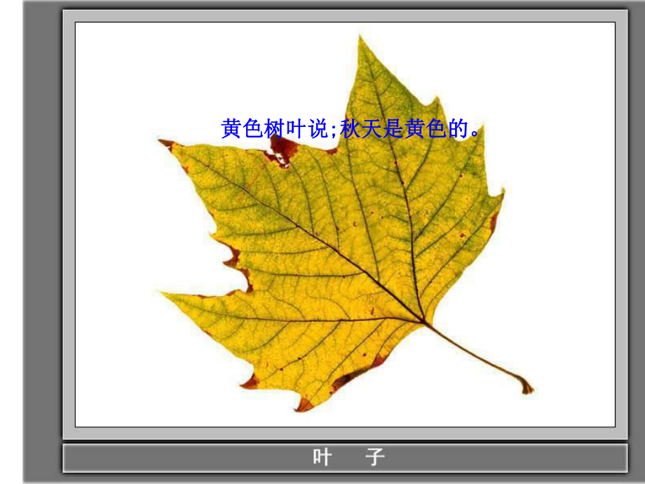 幼儿园中班上册课件-秋+天+的+颜+色.ppt_第3页