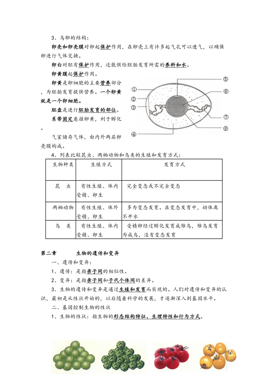 八年级下生物知识点资料(DOC 13页).doc_第3页