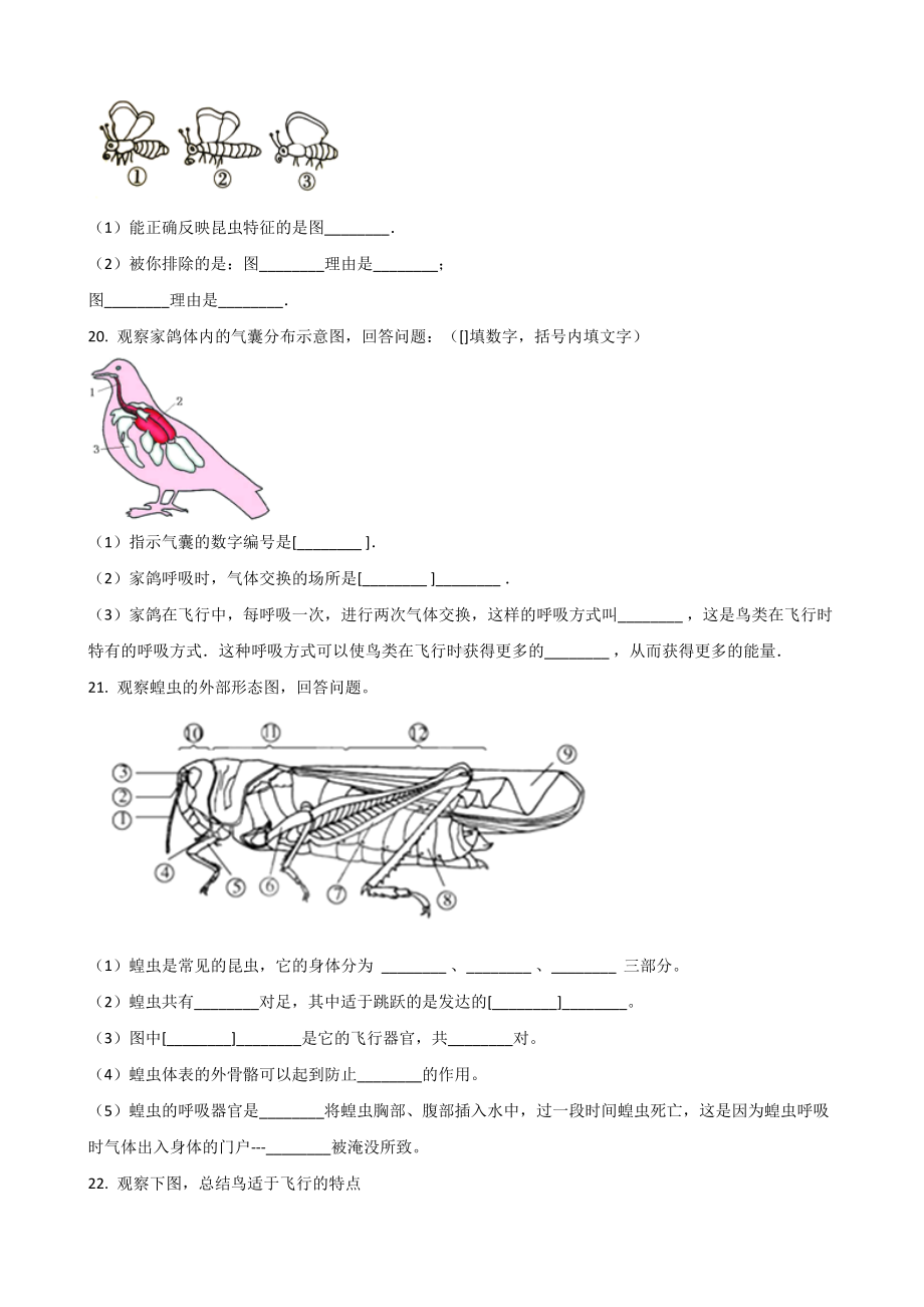 2019年春苏科版七年级下册生物-第12章-空中的生物-单元练习题-(无答案).doc_第3页