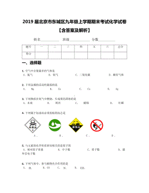 2019届北京市东城区九年级上学期期末考试化学试卷（含答案及解析）.docx