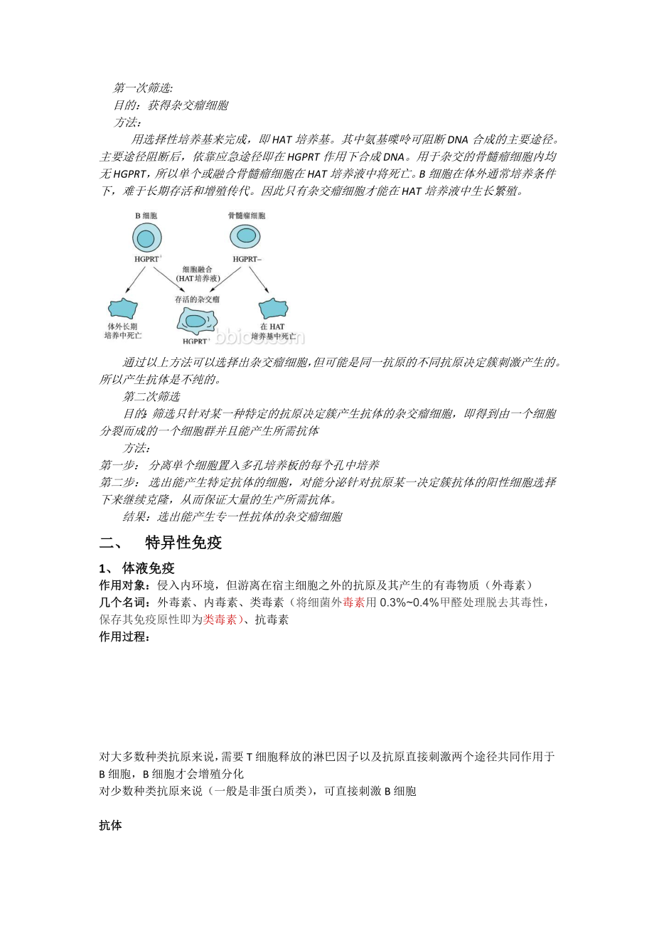 免疫调节复习教案汇总.doc_第3页