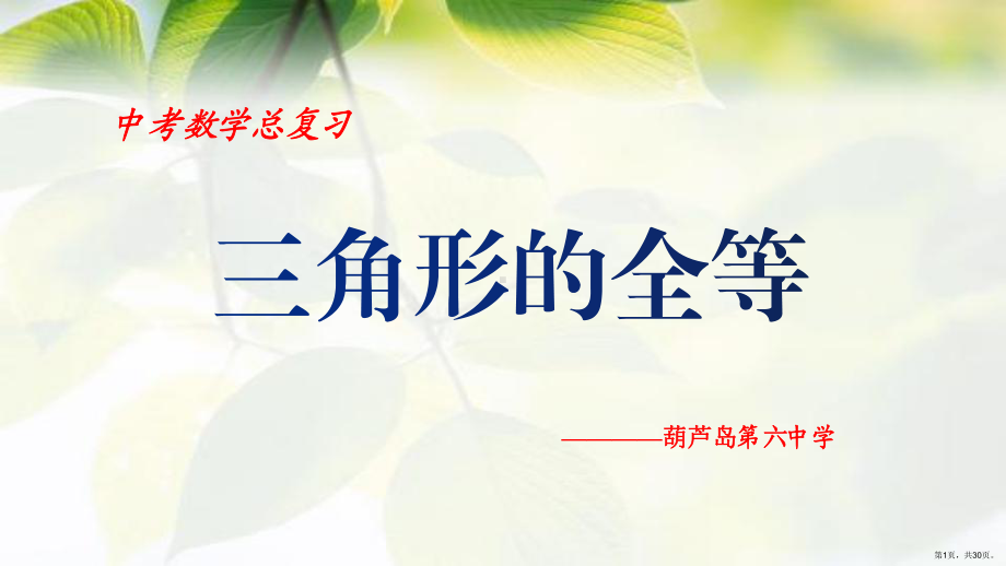 2020年中考数学总复习课件：三角形的全等(共30张PPT).pptx_第1页