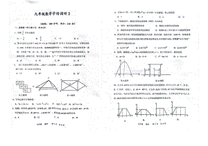 2023年河南省郑州市金水区河南省实验 三模数学试题.pdf