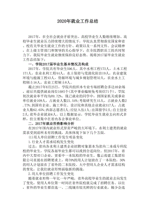 2020年就业工作总结(DOC 9页).docx