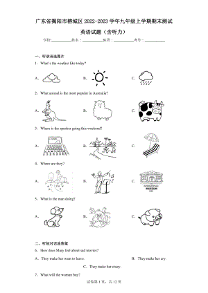 广东省揭阳市榕城区2022-2023学年九年级上学期期末测试英语试题.docx