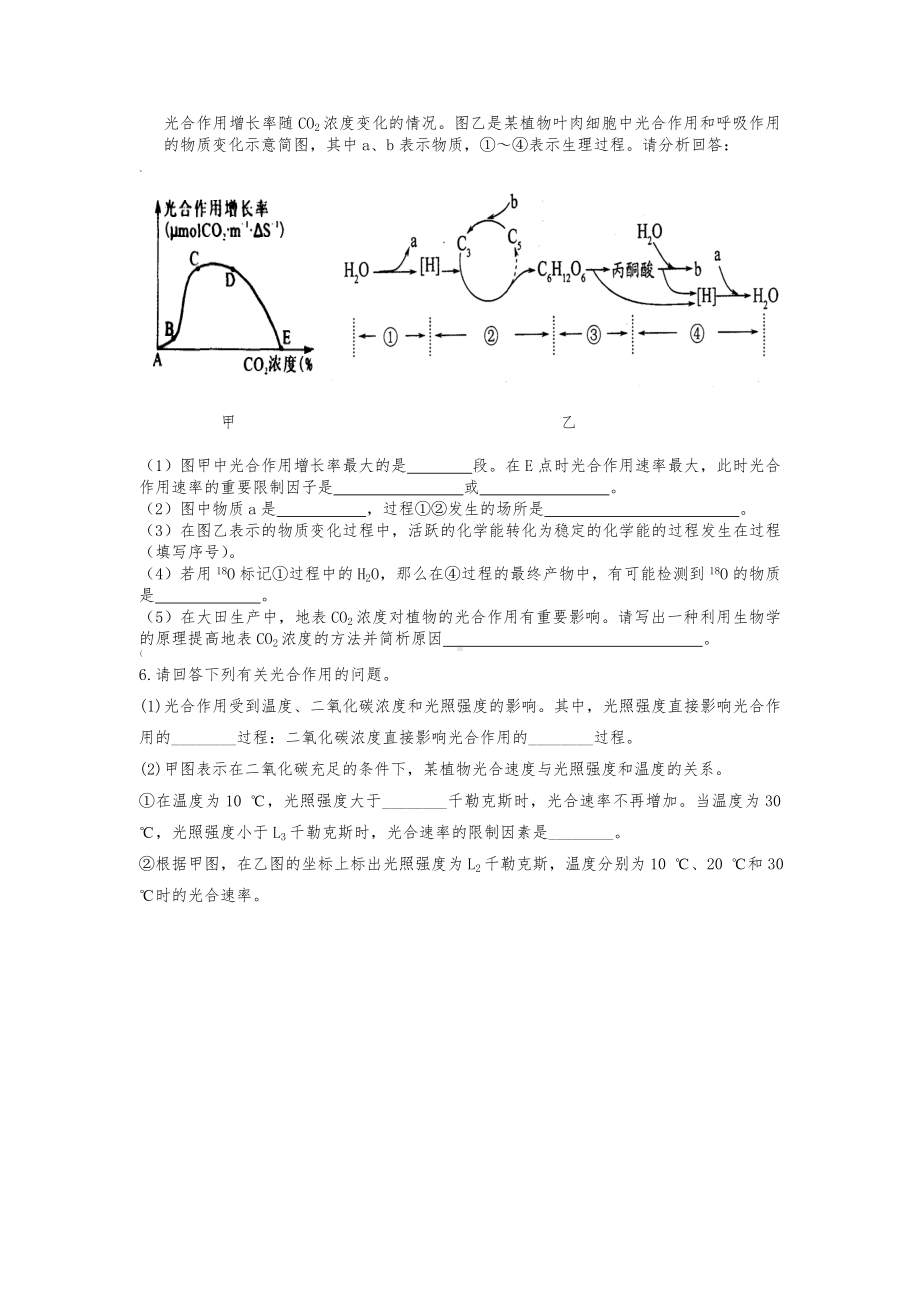 光合作用练习题(有答案).doc_第3页