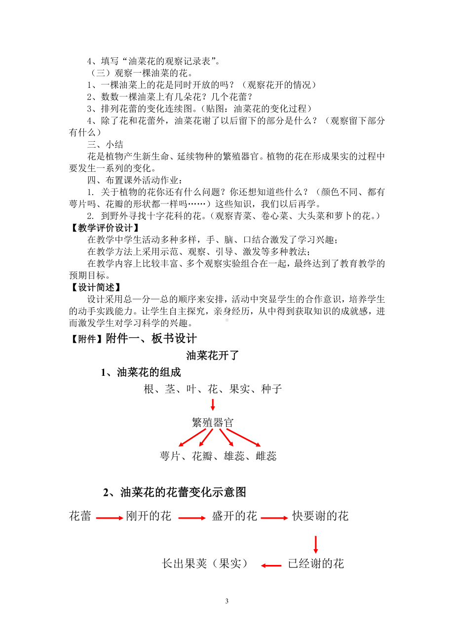 四年级下册《油菜花开了》教学设计.doc_第3页