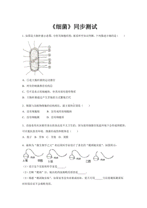 《第二节-细菌》同步测试练习试卷（初中生物人教版八年级上册）.docx