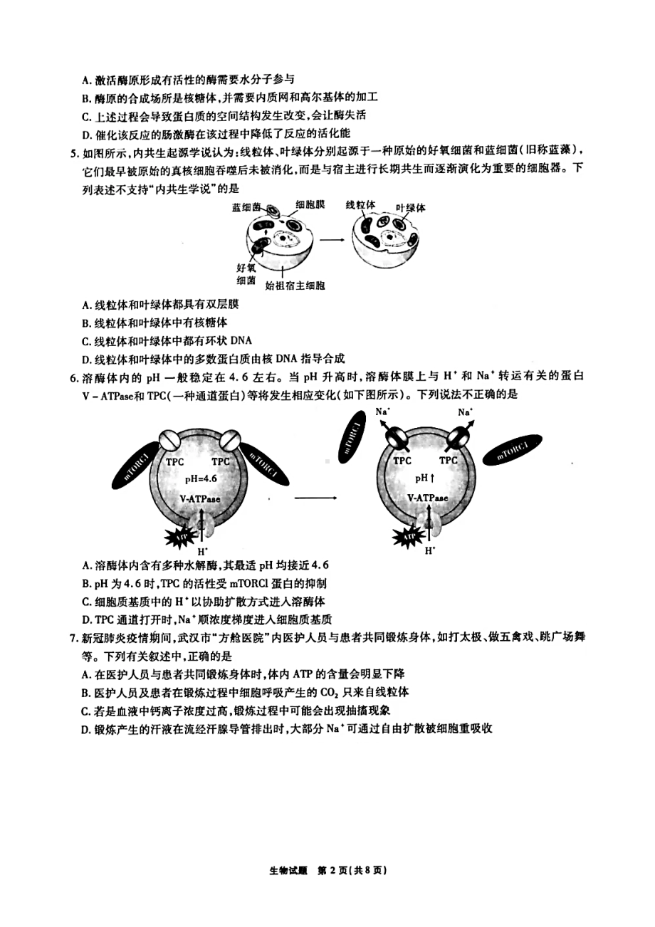 安徽省“江淮十校”2021届高三第二次质量检测生物试题(含答案解析)(DOC 13页).docx_第2页