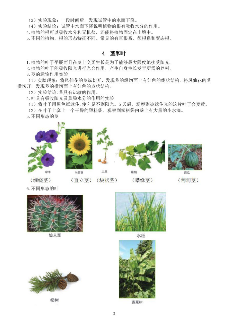 小学科学教科版四年级下册第一单元《植物的生长变化》知识点整理(DOC 5页).doc_第2页