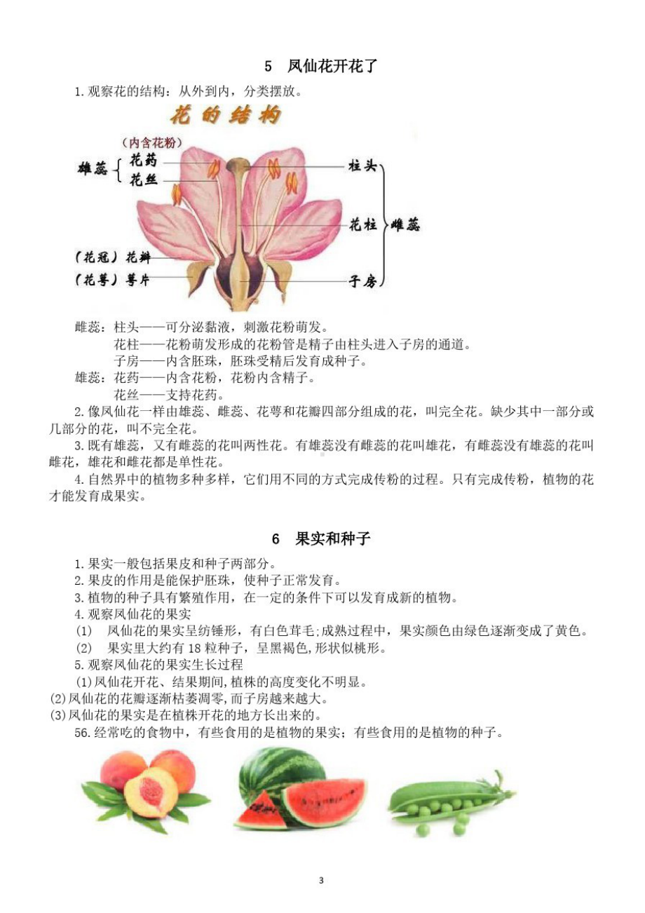 小学科学教科版四年级下册第一单元《植物的生长变化》知识点整理(DOC 5页).doc_第3页