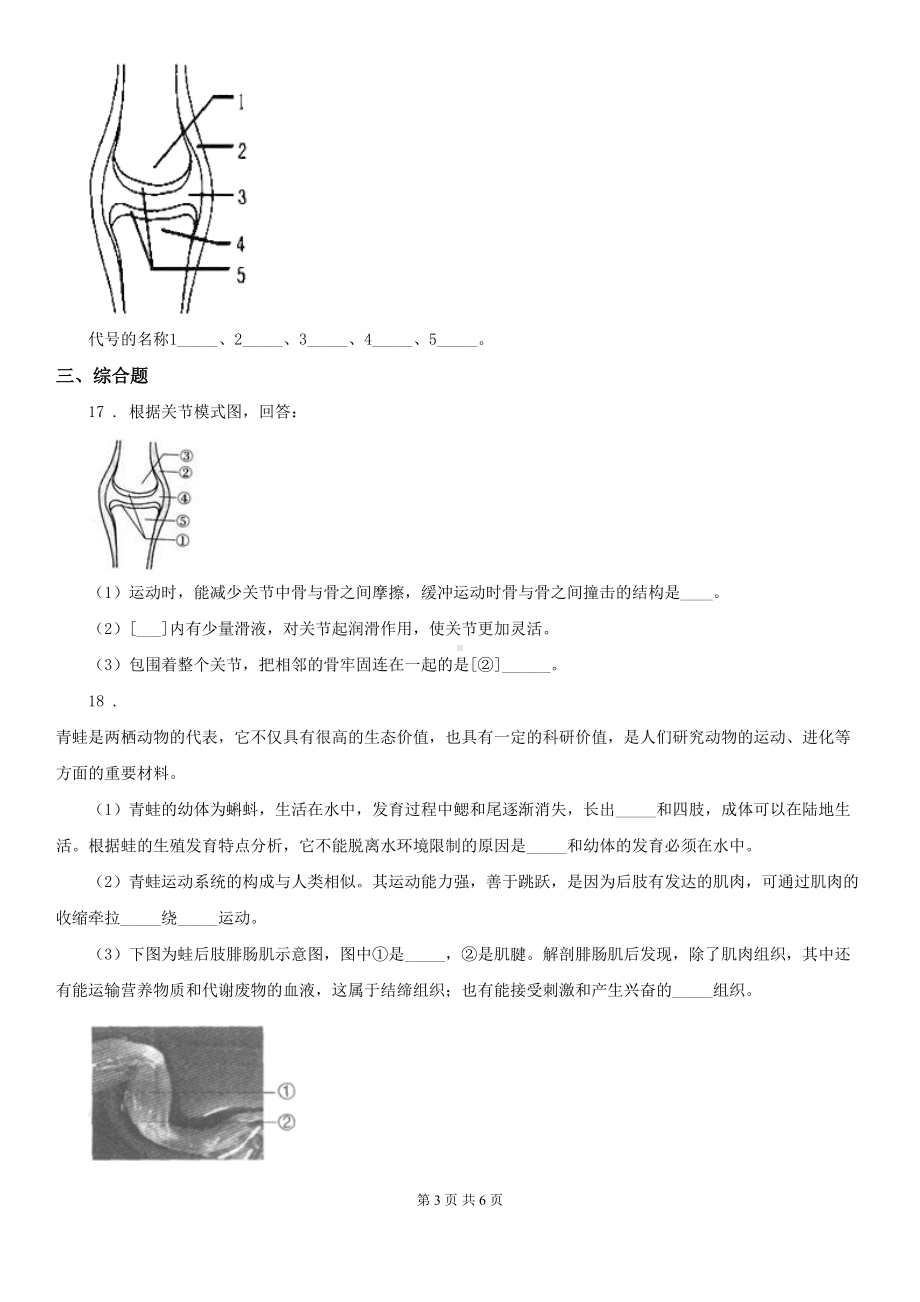 北师大版八年级上册生物-第十五章-动物的运动-单元测试题(DOC 6页).doc_第3页