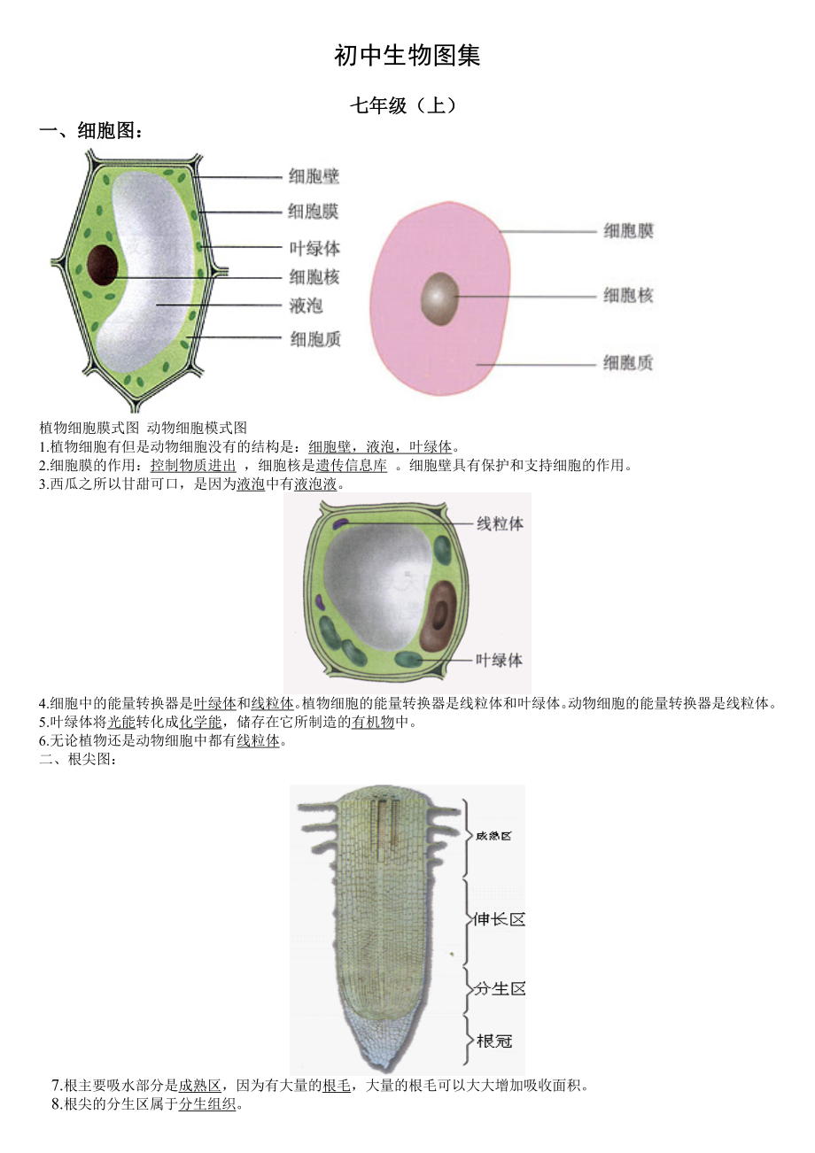 初中生物复习图集.doc_第1页