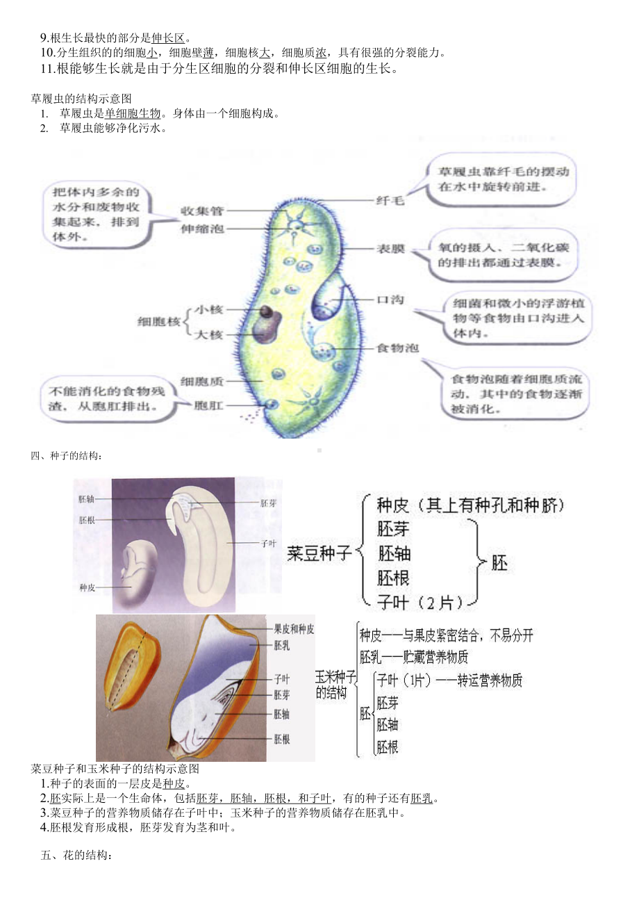 初中生物复习图集.doc_第2页