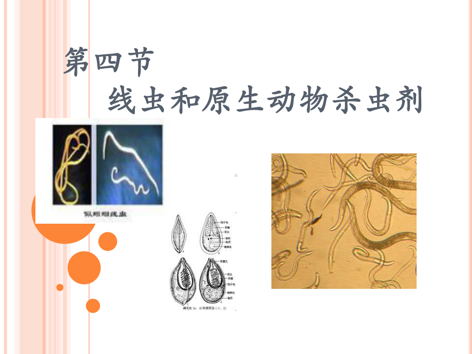 0第二章-微生物农药线虫课件.ppt_第1页