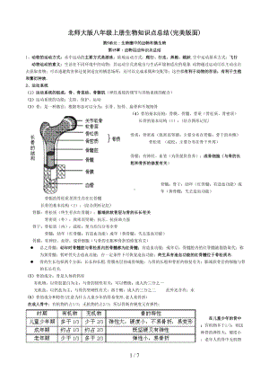 北师大版八年级上册生物知识点总结(完美版面)(DOC 7页).doc