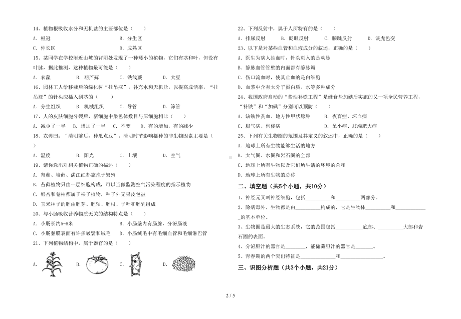 北师大版七年级生物下册期末测试卷及答案（汇总）(DOC 5页).doc_第2页