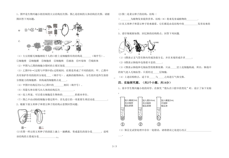 北师大版七年级生物下册期末测试卷及答案（汇总）(DOC 5页).doc_第3页