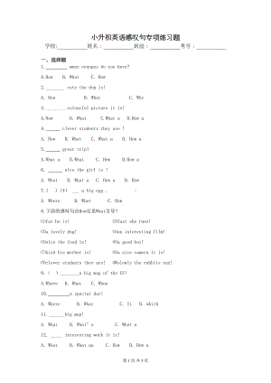 小升初英语感叹句专项练习题(DOC 5页).docx