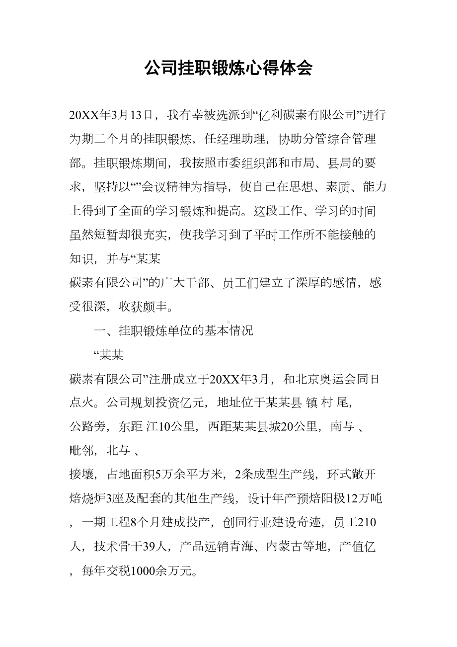 公司挂职锻炼心得体会(DOC 10页).docx_第1页