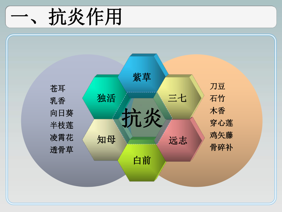 0中草药功效介绍课件.pptx_第2页