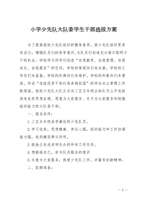 小学少先队大队委学生干部选拔方案(DOC 12页).doc